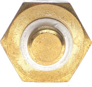 Delphi TS10320