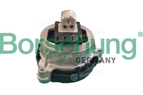 Borsehung B12609