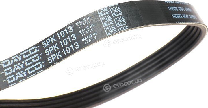 Dayco 5PK1013HD