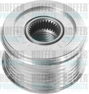 Hoffer 45246