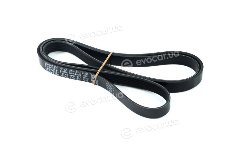 Dayco 6PK1873