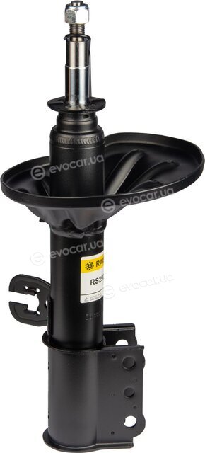 Raiso RS290665