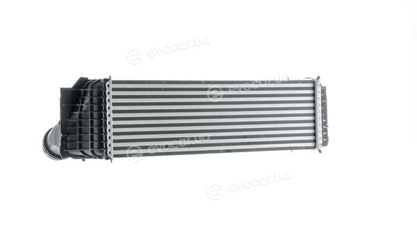 Mahle CI 184 000P