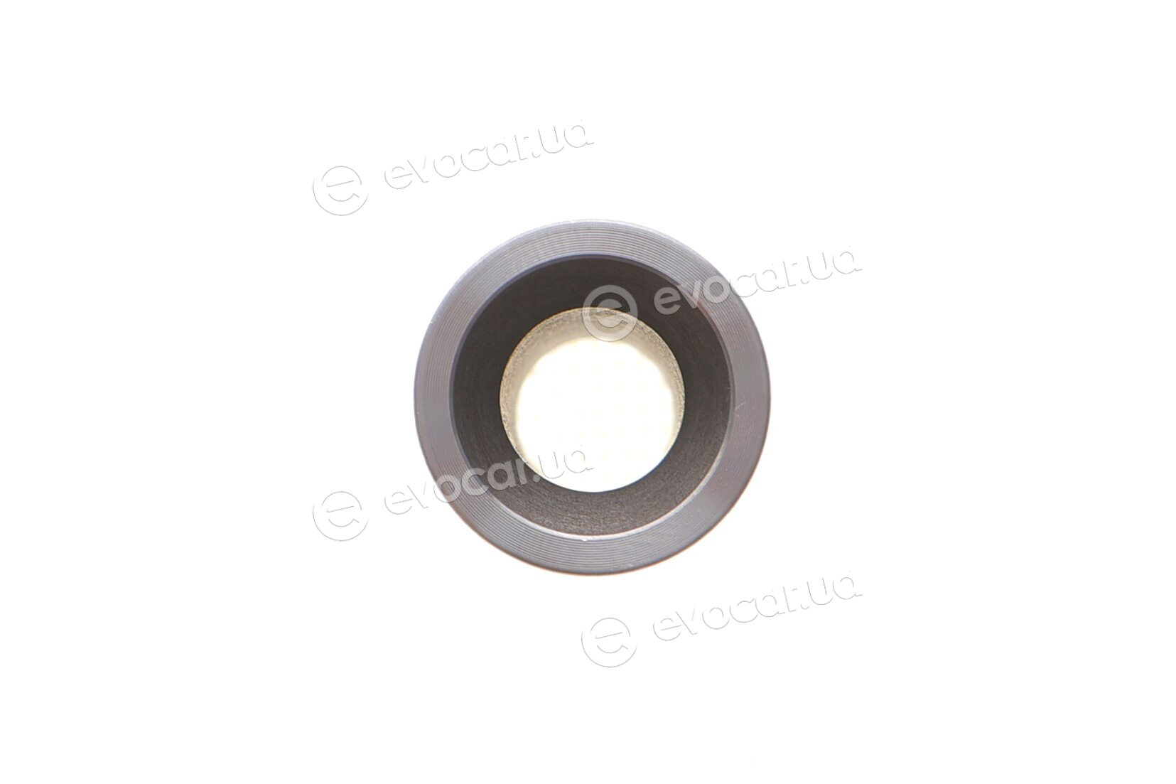 Mahle 028 PI 00118 001
