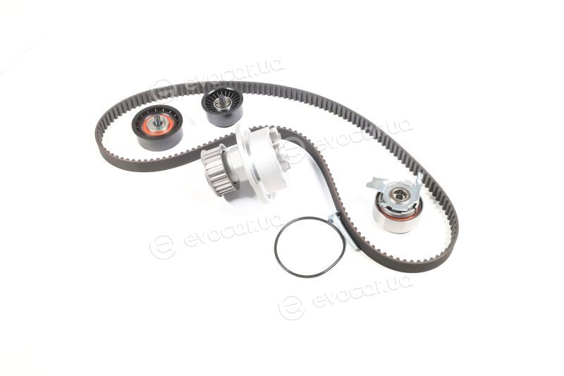 Dayco KTBWP3611