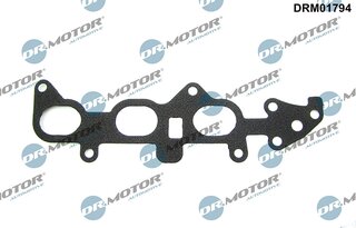Dr. Motor DRM01794