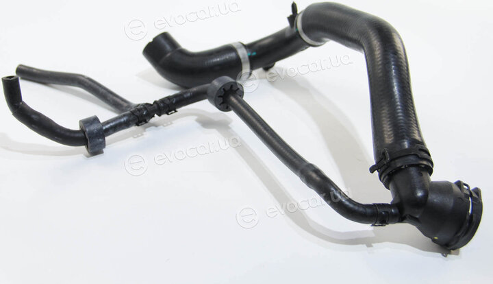 Rapro R25881