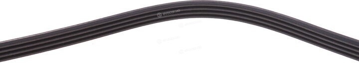 Dayco 4PK954