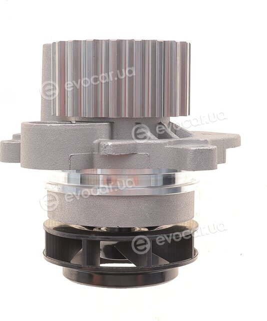 Motive TBK4982WP