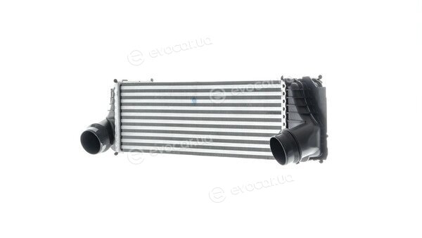 Mahle CI 184 000P