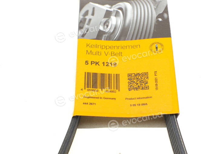 Continental 5PK1219
