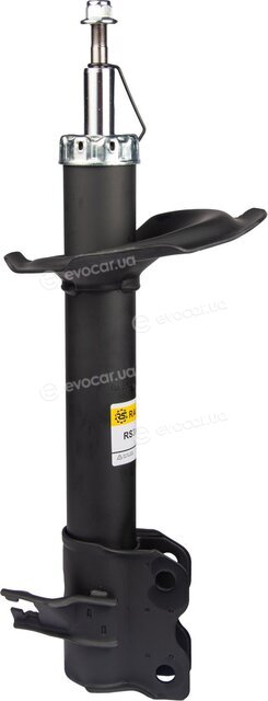 Raiso RS318219