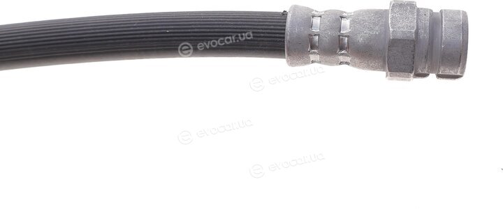 Solgy 210009