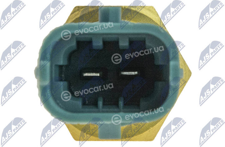 NTY ECT-CH-006