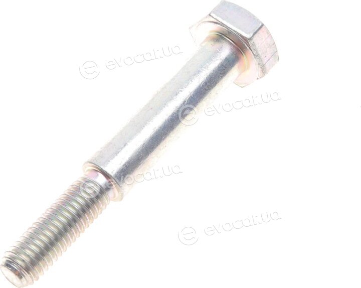 Dayco KTBWP3170