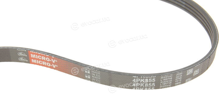Gates K034PK855