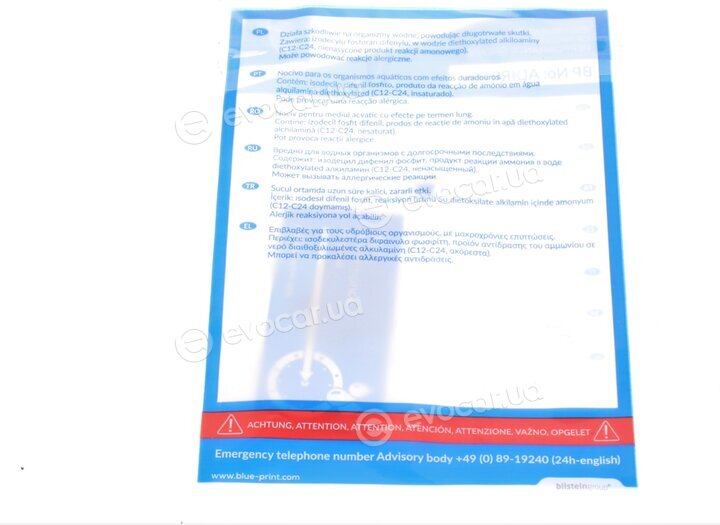 Blue Print ADW193008