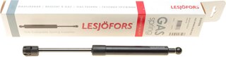 Lesjofors 8104206