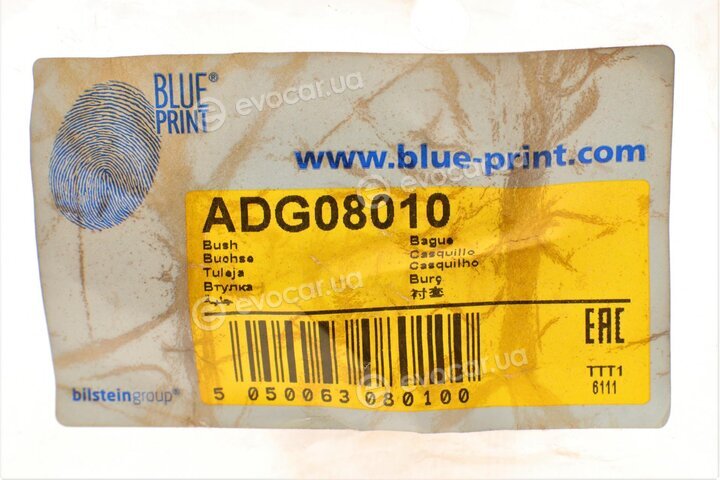 Blue Print ADG08010