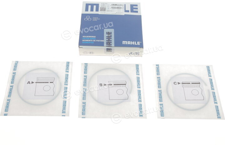 Mahle 021 93 V0