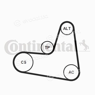 Continental 6PK1120K2