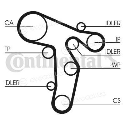 Continental CT1134WP1