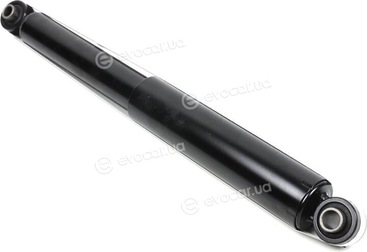 Solgy 211018