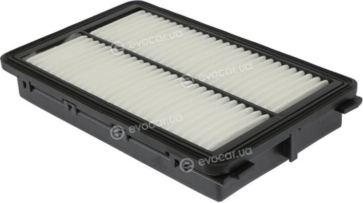 Starline SF VF4331