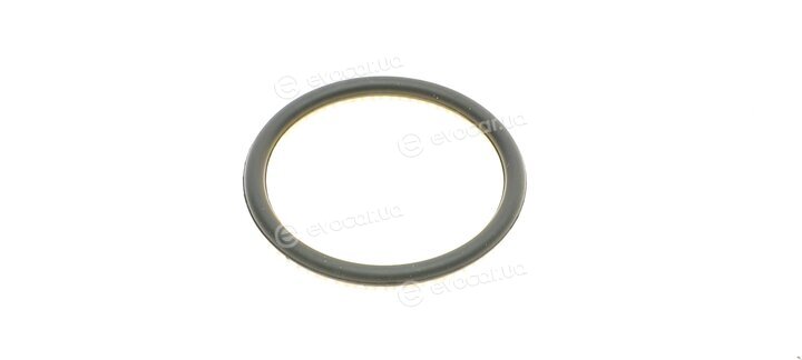 Hepu P1513