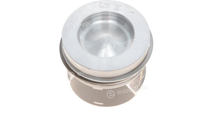 Mahle 028 PI 00116 002