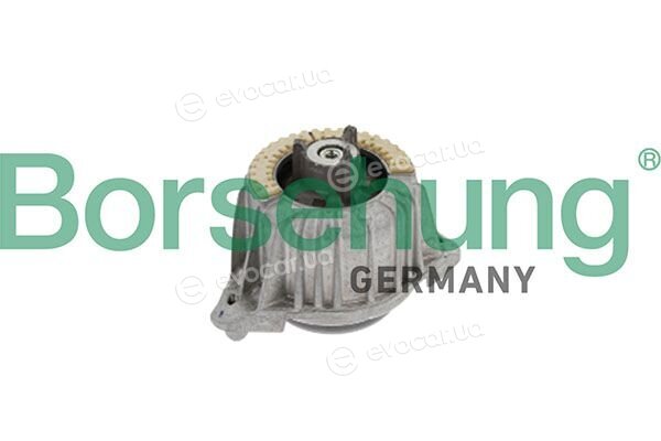 Borsehung B12982