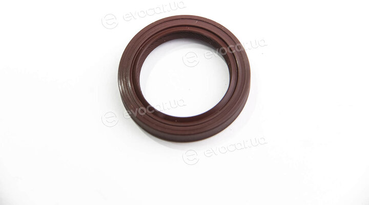 Elring 505.838
