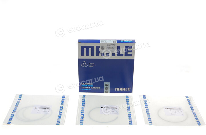 Mahle 005 24 N0
