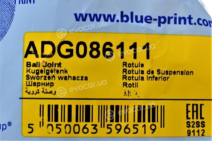 Blue Print ADG086111