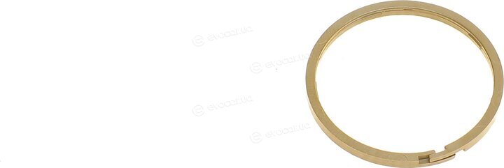 Elring 821.480