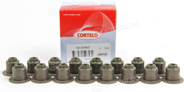 Corteco 19036483