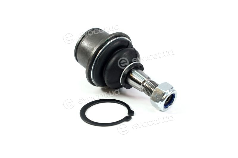 SKF VKDS 312017