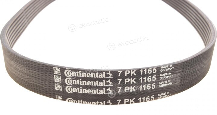 Continental 7PK1165