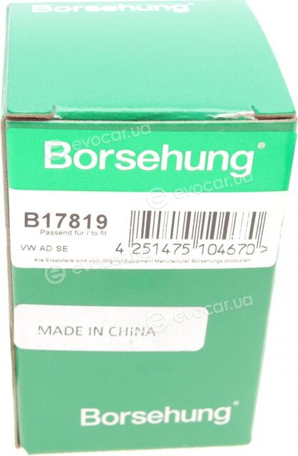 Borsehung B17819