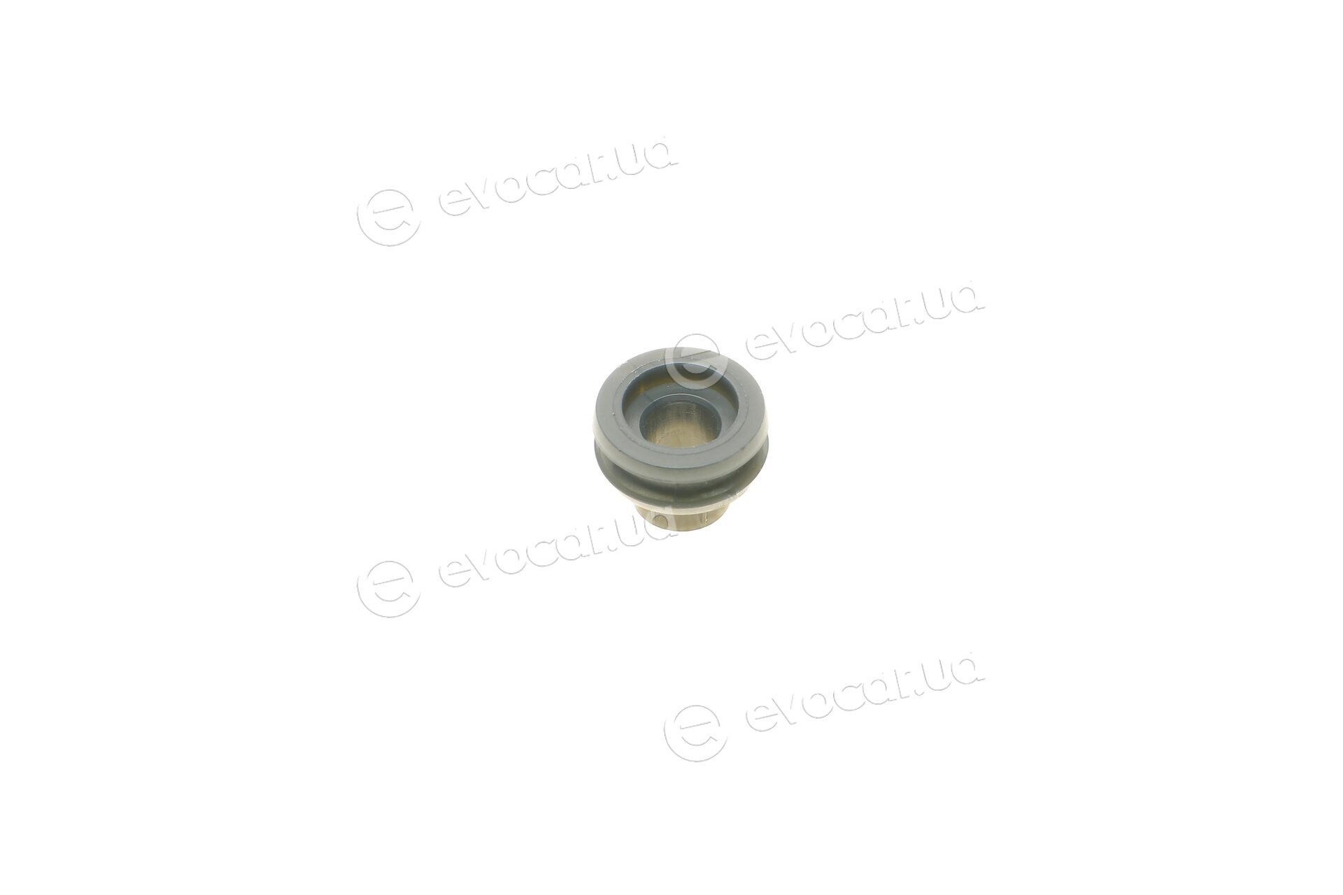 AIC 56906