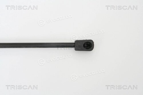 Triscan 8710 29120