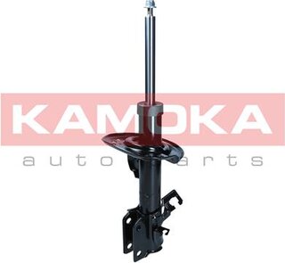 Kamoka 2001123