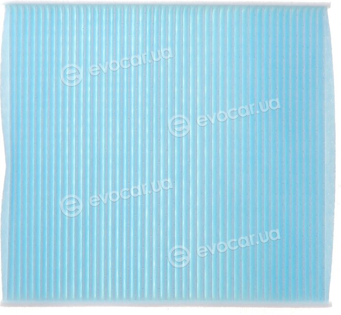 Blue Print ADN12547