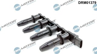 Dr. Motor DRM01379