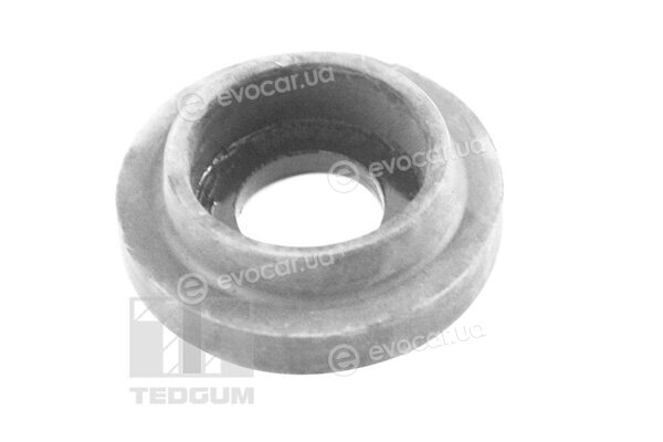 Tedgum 00515797