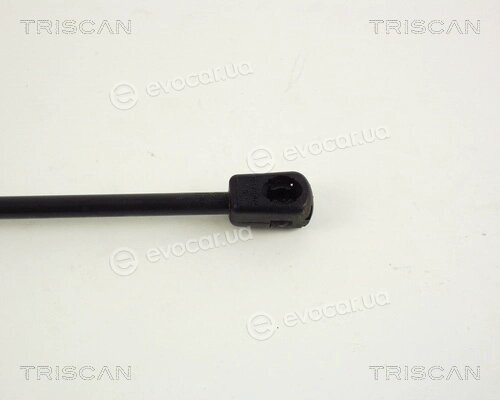 Triscan 8710 67204