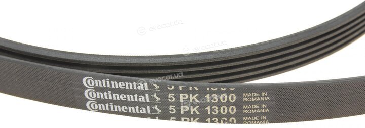 Continental 5 PK 1300 K1