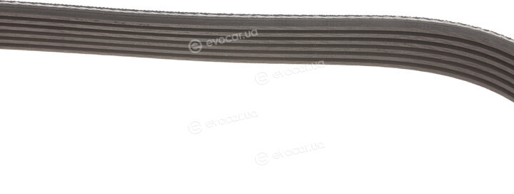 Gates 6PK955
