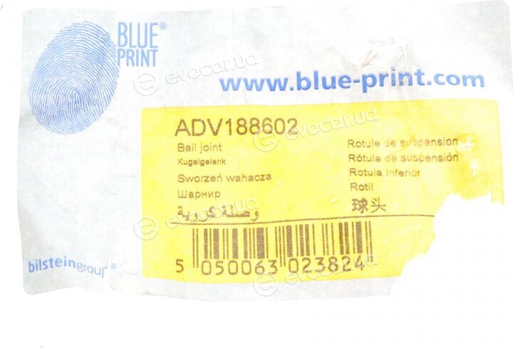 Blue Print ADV188602