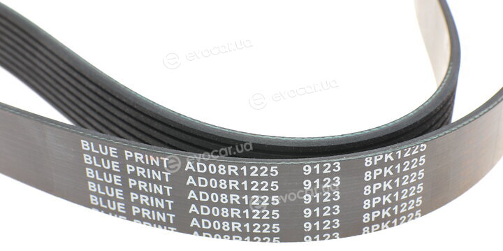 Blue Print AD08R1225